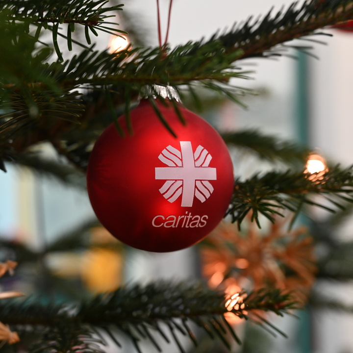 Weihnachtsbaum